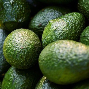 Aguacates Orgánicos